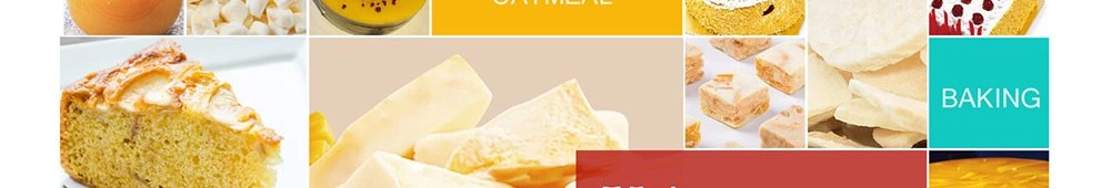 product-1000-160 Customized freeze dried lemon Slices