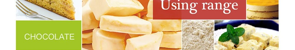 product-1000-160 freeze dried lemon Slices in stock